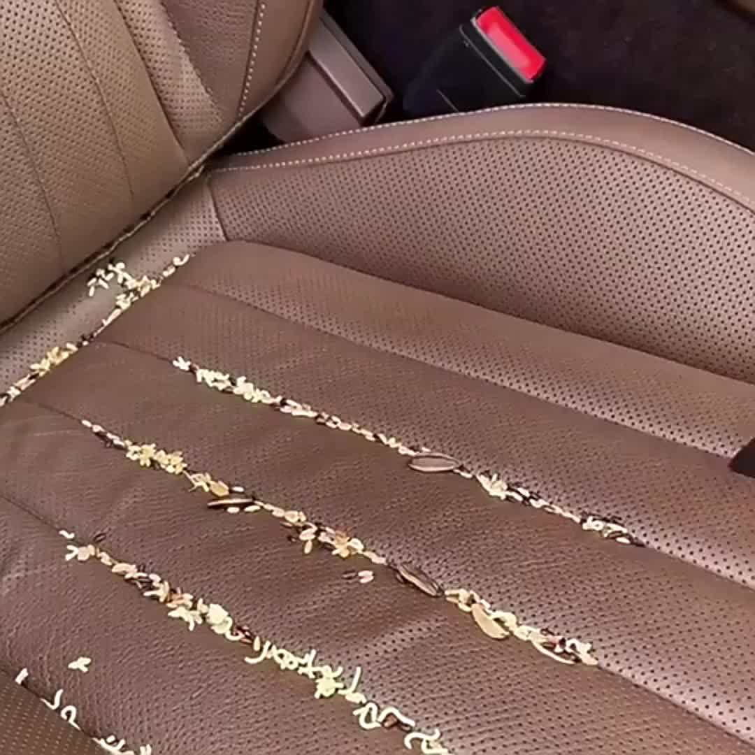 AutoVac Pro